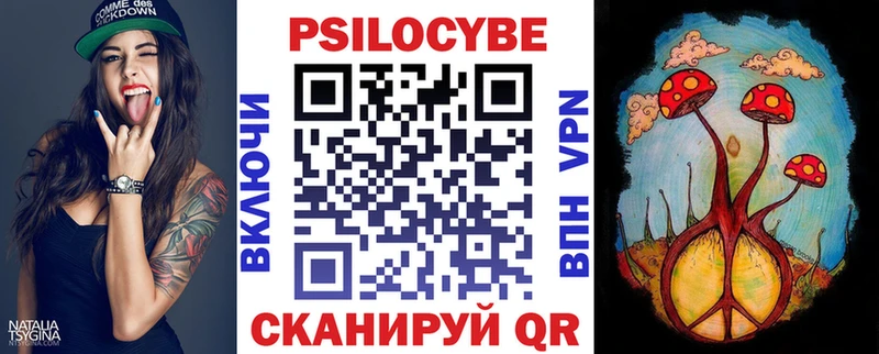 Псилоцибиновые грибы Psilocybe  Купить  Белореченск 
